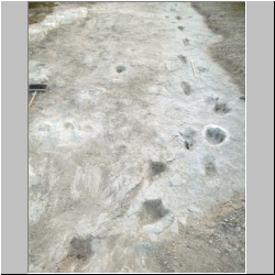 102_6709 (2013-08-11)mod.JPG